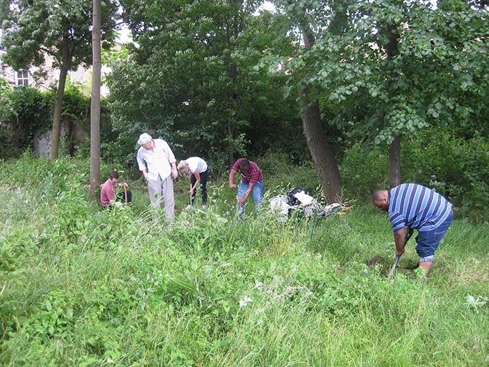 Rural Sites